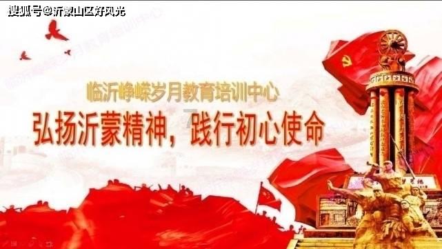 可怜猫的救援